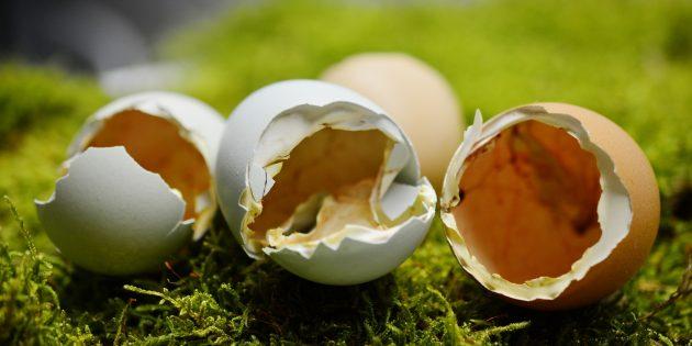 10 продуктов, в которых кальция больше, чем в твороге. Найдутся в любом супермаркете и не ударят по карману. 1-235-8317296