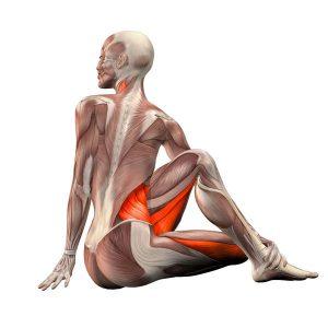 Стречинг: лучшие упражнения на растяжку мышц content_sitting-left-twist__econet_ru-300x300-1-2460975