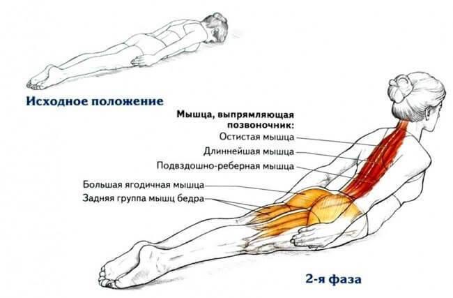 ПРОСТОЕ УПРАЖНЕНИЕ ДЛЯ ПРОФИЛАКТИКИ БОЛЕЗНЕЙ СПИНЫ original-11-1-8613673