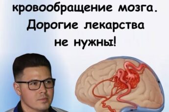3 способа улучшить кровообращение мозга. Дорогие лекарства не нужны.