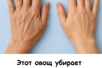 Этот овощ есть в каждом холодильнике.