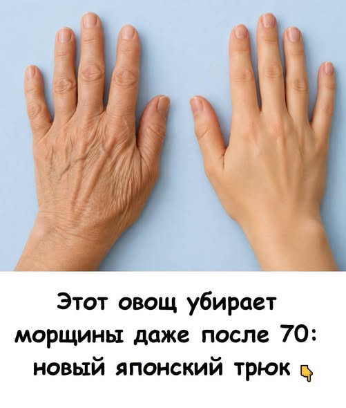Этот овощ есть в каждом холодильнике. Этот овощ есть в каждом холодильнике.
