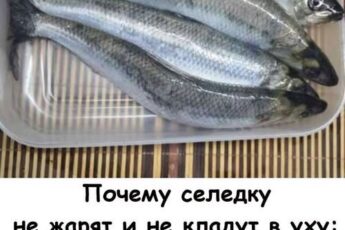 Почему селёдку почти никогда не жарят и не варят: запомните раз и на всю жизнь.