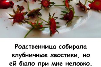 Родственнице было неловко при мне собирать клубничные хвостики... А теперь я сама коплю их банками! Зачем они нужны?