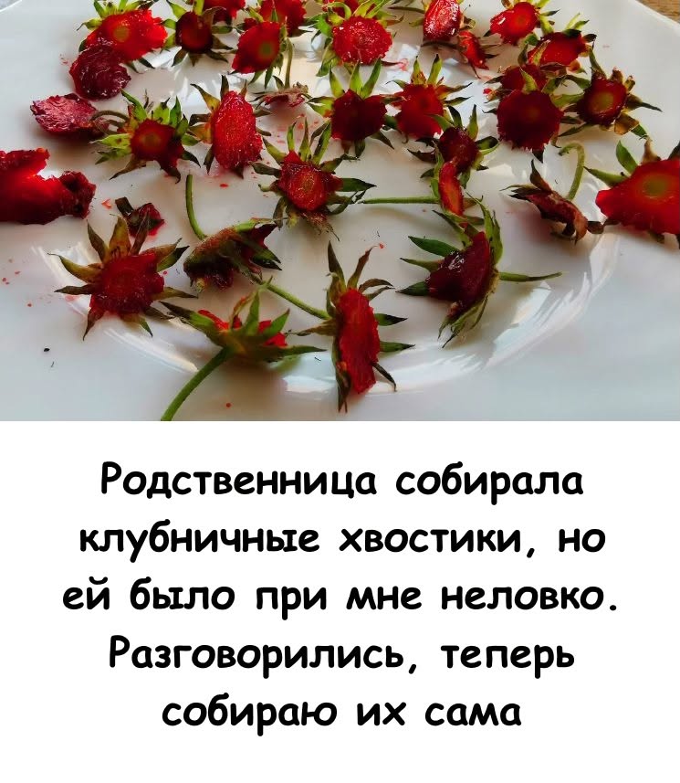 Родственнице было неловко при мне собирать клубничные хвостики... А теперь я сама коплю их банками! Зачем они нужны? Родственнице было неловко при мне собирать клубничные хвостики... А теперь я сама коплю их банками! Зачем они нужны?
