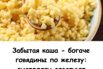 Забытая каша — богаче говядины по железу: диетологи советуют вернуть ее в рацион.