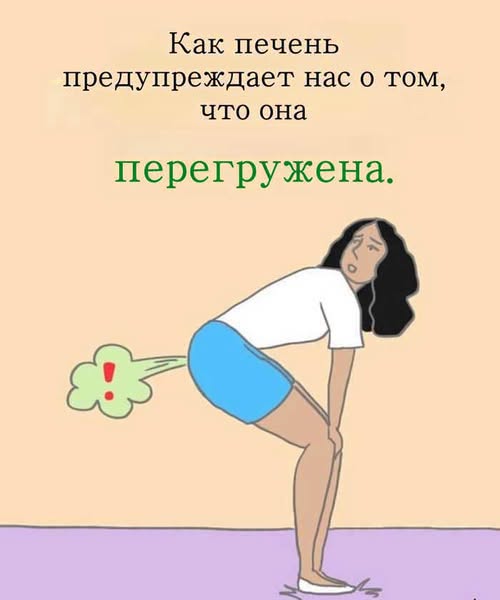 Неалкогольная жировая болезнь печени: почему она развивается у каждого второго и как её остановить? 