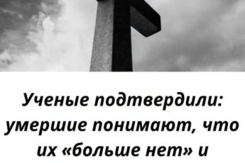 Новое исследование учёных показало: мозг остаётся активным и после остановки сердца. Сознание человека живёт дольше, чем считалось ранее — смерть не мгновенна.